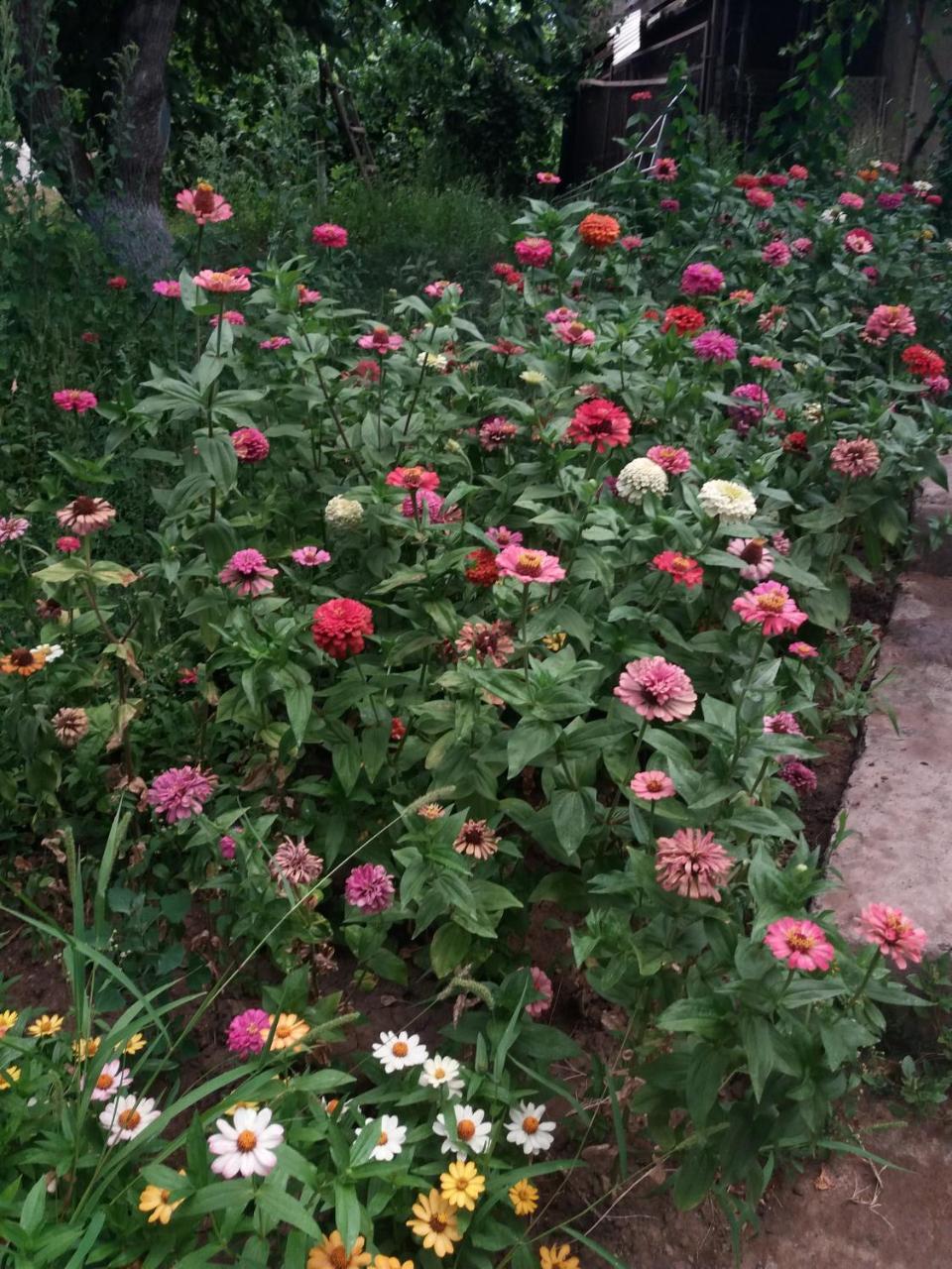 B&B Ruzan Yeghegnadzor ภายนอก รูปภาพ